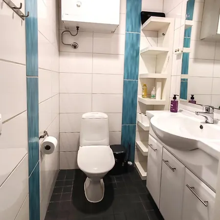 Apartment 120n Hietala Paritalo, 1-8henkiloen Luxus Majoitus, 3x160cm Jenkkisaengyt Loehoesohvat, Iso Takaterassi, Taeyd Keittioe Kodink, Laatu Sauna, Takka, Tv 75